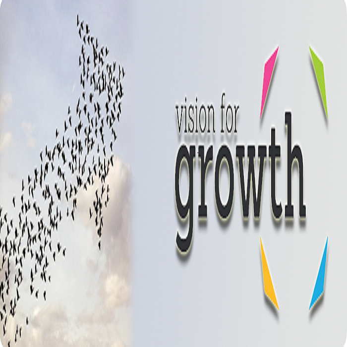 visionforgrowth700.png